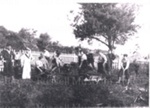 Photo: Work party from HMS Encounter, Australian Squadron, cleaning up Christ Church graveyard, 1907; 90/9/1