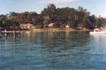 Photo: Russell shoreline from a boat, c1980's; 97/1676