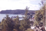 Photo: View of Russell from above Pompellier, 1962; 99/1465