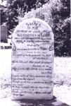 Photo: Headstone of Alexander McLeod, Christ Church, Russell; 98/193/9