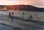 Photo: Picking pipis at Te Wahapu, c1980's; 97/1679