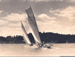 Photo: Yachts racing off Russell; 97/554