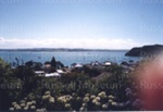 Photo; 97/17/3