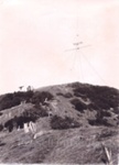 Photo: Tapper's Mount and flagstaff, c1900s; 97/1169