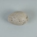 Bird egg: unidentified; Frances Shakespear; 2015.232.151