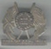 Badge: reception committee Great White Fleet; 2001.225.5