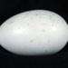 Brown Kiwi Egg Specimen; Apteryx mantelli; 954/20.1938a