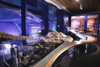 organisation: Otago Museum