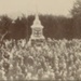 Photograph, Unveiling of the Otautau War Memorial; McKesch, Henry John; 1922; OT.2010.59