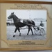 Race horse & Driver - Oamaru Trotting Club; 1970; 01/2007/1012