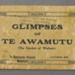 Glimpses of Te Awamutu, Waipa Post, Oct 1916, PA16