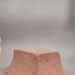 Brick; Dolphin and Company; 2016.44.81