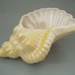 Vase - shell; Unknown; 1946-1960; 2008.1.203