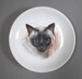 Child's saucer - cat; Crown Lynn Potteries Limited; 1960s; 2016.61.6
