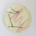 Side Plate - Graffiti pattern; Crown Lynn Potteries Limited; 1985-1989; 2016.48.143
