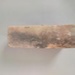 Brick; 1840s; 2016.44.98