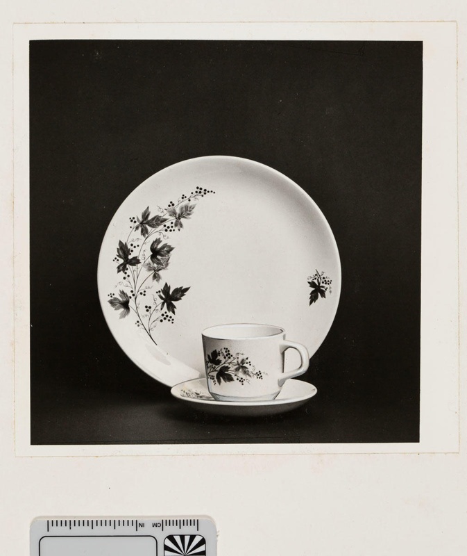 Contact proof - Vintage cup saucer and plate; 2008.1.2926 Contact proof - Vintage cup saucer and plate; 2008.1.2926