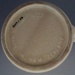 Mug; Titian Potteries (1965) Limited; 1976-1980; 2009.1.58