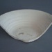 Bowl fragment - Paris pattern; Amalgamated Brick and Pipe Company Limited; 1943-1950; 2009.1.2047