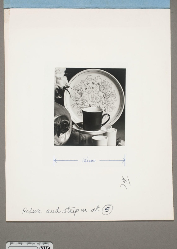 Contact proof - Floral patterned cup and saucer, shakers and plate; 2008.1.2944