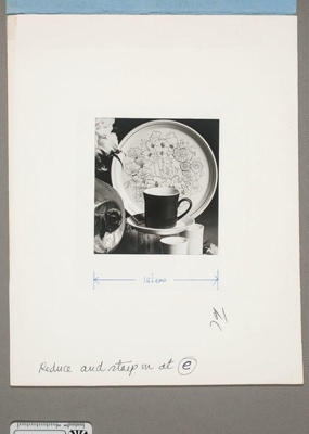 Contact proof - Floral patterned cup and saucer, shakers and plate; 2008.1.2944