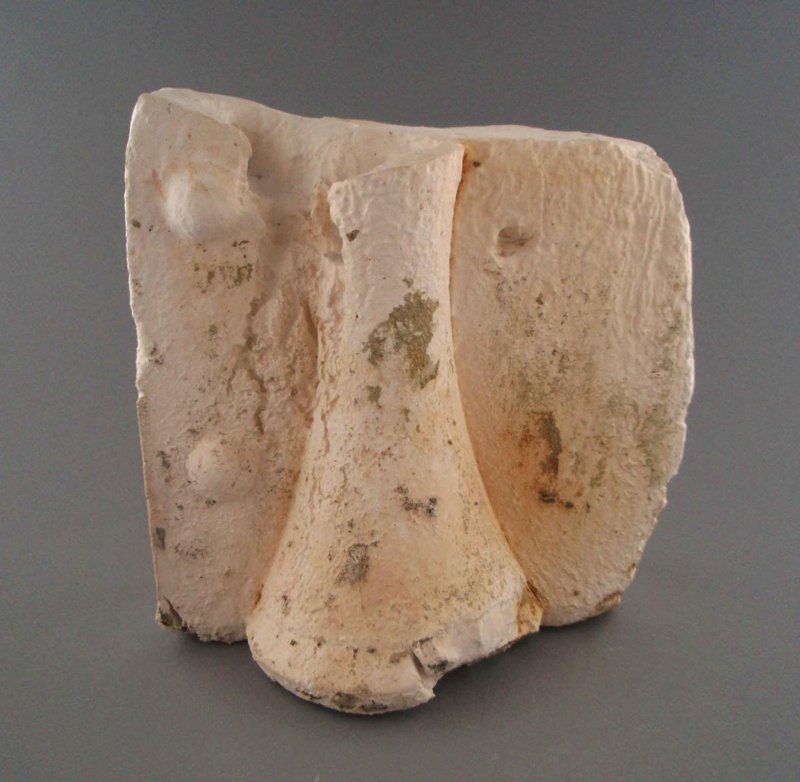 Case fragment- jug; Crown Lynn Potteries Limited; 1940-1960; 2009.1.1433 Case fragment- jug; Crown Lynn Potteries Limited; 1940-1960; 2009.1.1433