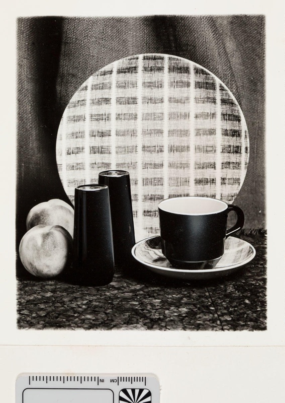 Contact proof - Tres Bon patterned cup, saucer, shakers and plate; 2008.1.2927 Contact proof - Tres Bon patterned cup, saucer, shakers and plate; 2008.1.2927