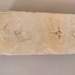 Brick; Glenburn Fireclay and Pottery Company Limited; 1923-1929; 2016.44.52