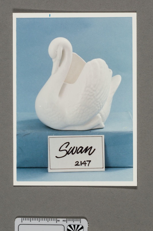 Photograph - swan '2147'; 1977-1979; 2008.1.2836
