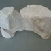 Slipcasting mould fragments - swan; Crown Lynn Potteries Limited; 1950-1975; 2009.1.1346.1-2