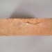 Brick; Te Kuiti Brick Company Limited; 2016.44.32