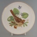 Collectors plate - song thrush; Crown Lynn Potteries Limited; 1985; 2008.1.623