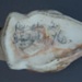 Swan fragments - bisque; Crown Lynn Potteries Limited; 1945-1979; 2009.1.2044.1-2