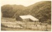 Ratanui Woolshed, 1930s; 2009.083.01