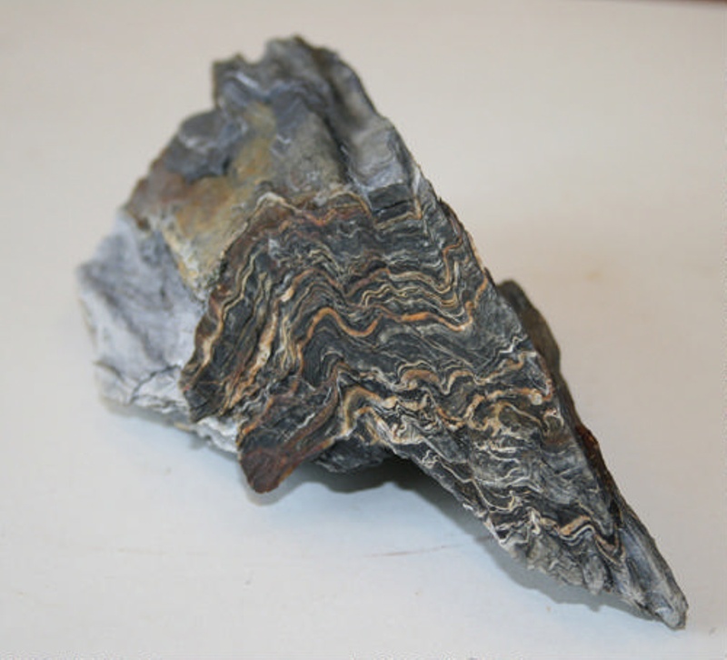 Pine Point Sample Rocks Rock Sample; Greene Peninsula; SGHT.2008.19 | eHive