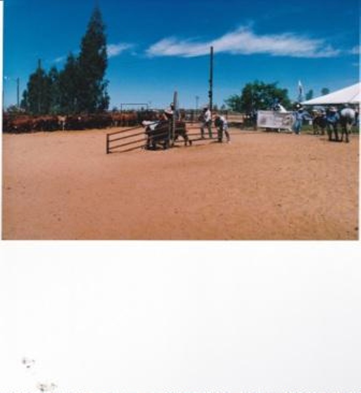 Australian Stockmans Hall of Fame, 10th Anniversary Celebrations, Rodeo ...