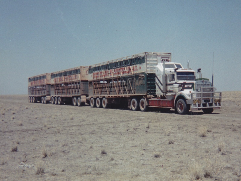 Triple Road Train on Barkly Tablelands, Qld/N.T.; circa 1990's; 19978 eHive