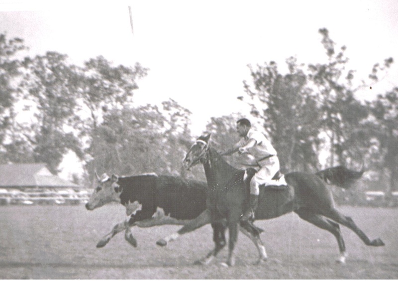 Photograph - Charlie Hassett at Beaudesert Rodeo.; 1932?; 6974 | eHive