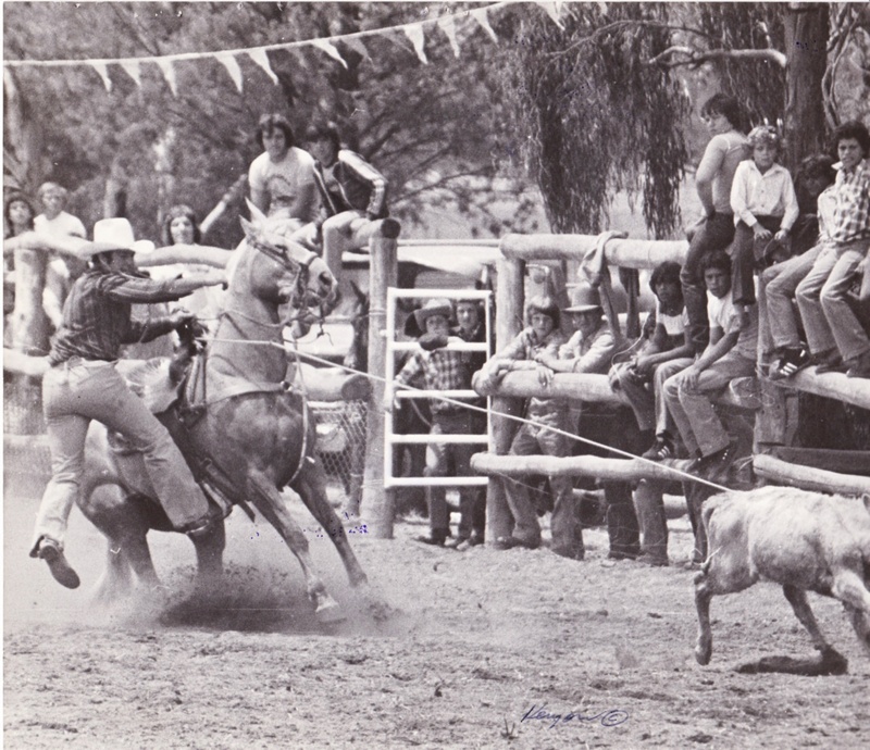 Photograph - Gary McPhee winning Narrandera Rodeo.; Poole, Peter; 1978 ...