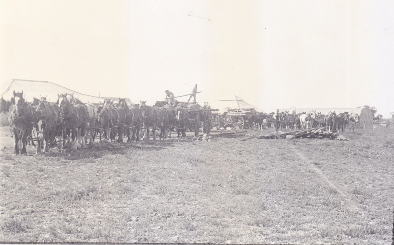 Loading wool wagons, Portland Downs; 1910; 12510 | eHive