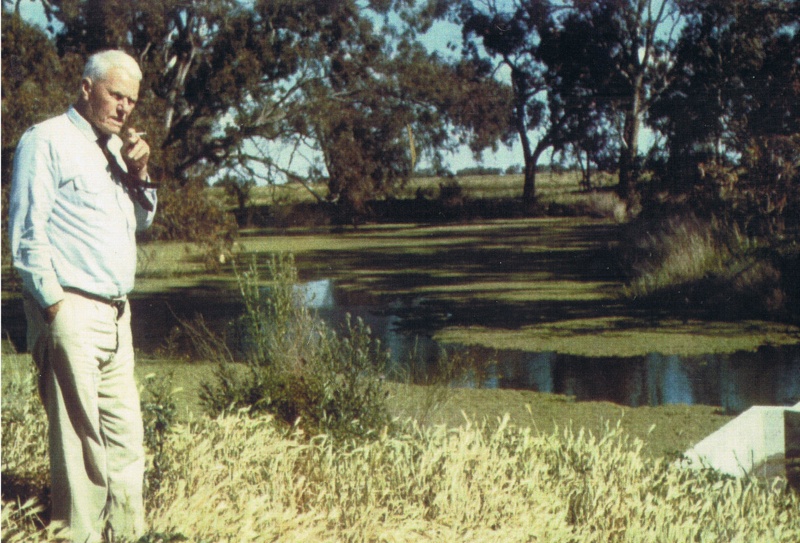 jackaroo junior camp stretcher