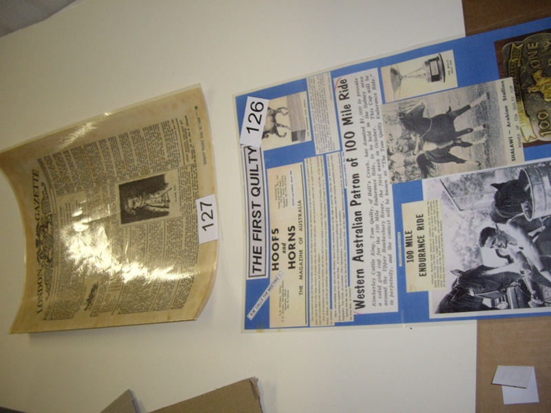 Laminated document; 126 eHive