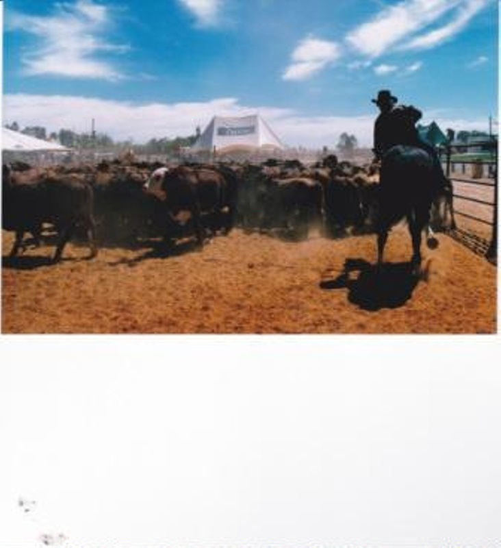 Australian Stockmans Hall of Fame, 10th Anniversary Celebrations, Rodeo ...