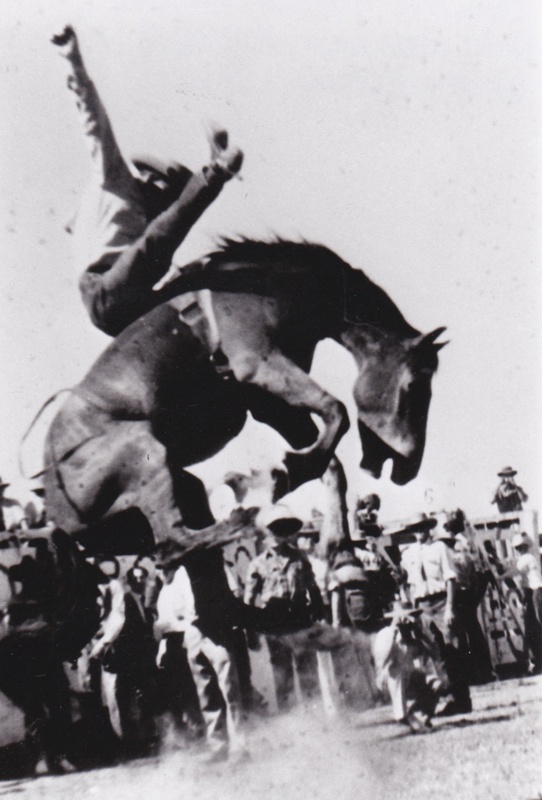 Winton Rodeo Photograph of Warwick Stegall riding a bronco bareback and winner of ...