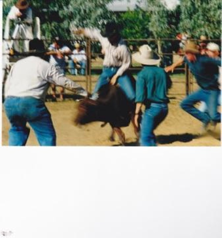 Australian Stockmans Hall of Fame, 10th Anniversary Celebrations, Rodeo ...