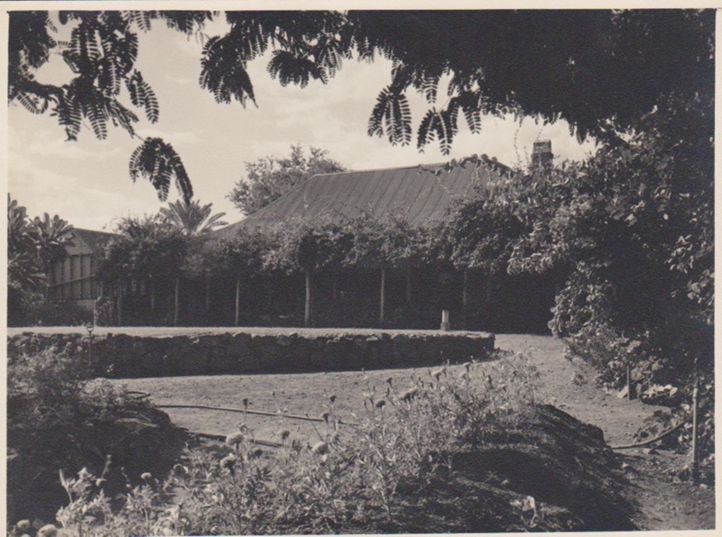 Photograph Gracemere Homestead; unknown; 1858; 11980 eHive