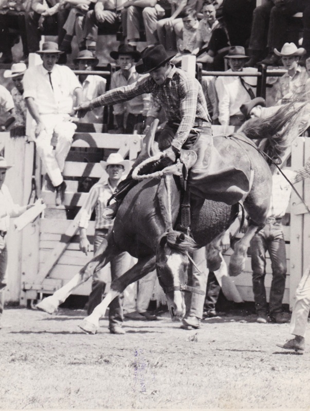 Photograph - Barry Gravener riding in the A. Saddle at Warwick. ; Lang ...