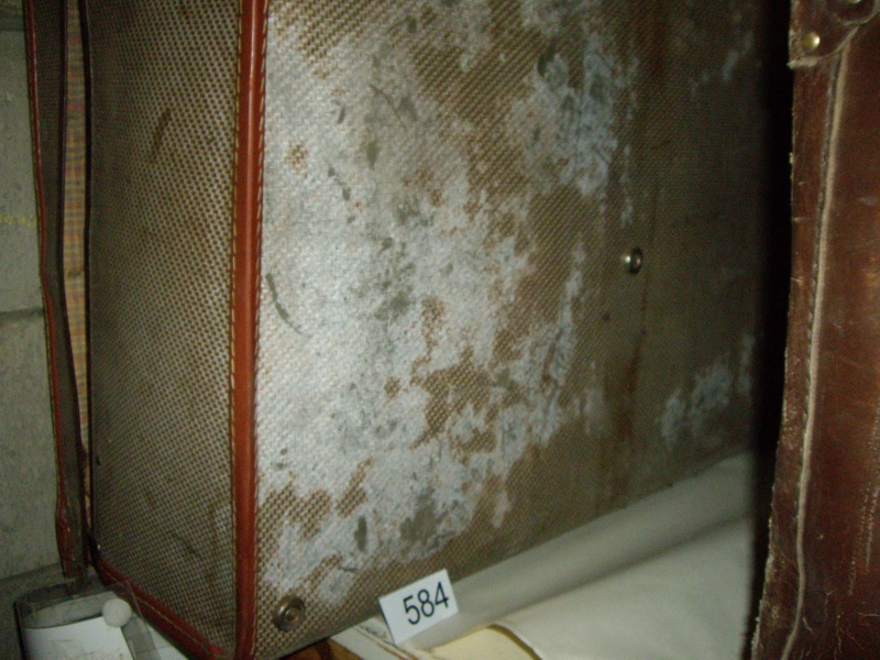 Ehive Suitcase*; 584 | eHive