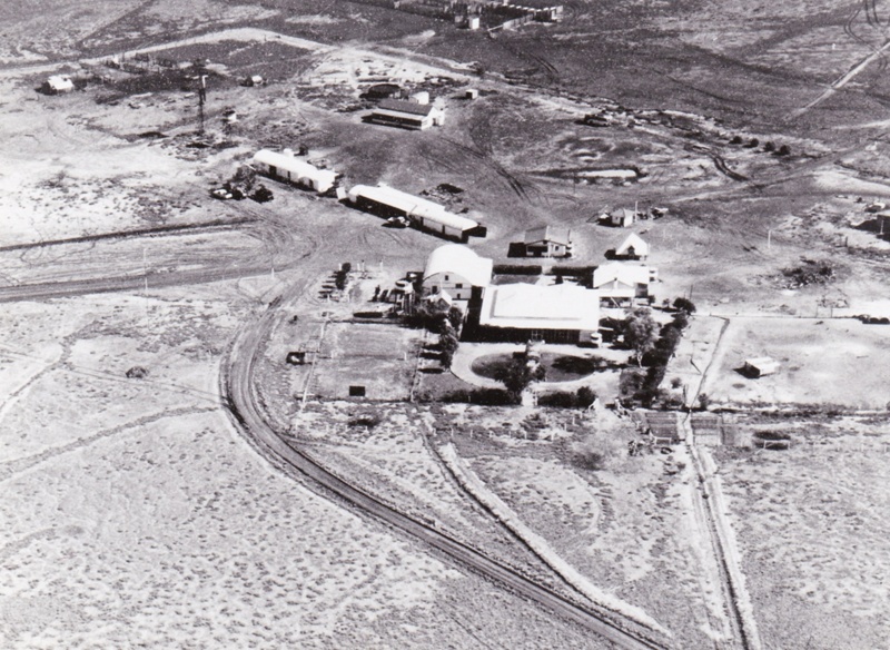 B&w Aerial Photograph Of Warbreccan Station, Central West Qld.; C 1960 