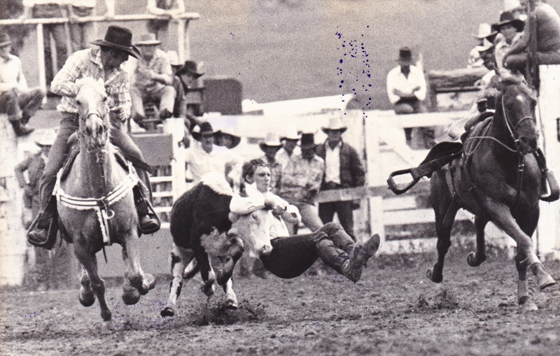 Photograph Danny McGuire Steer Wrestling; c1978; 15939 eHive